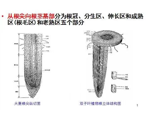 微信圖片_20230521195453.jpg