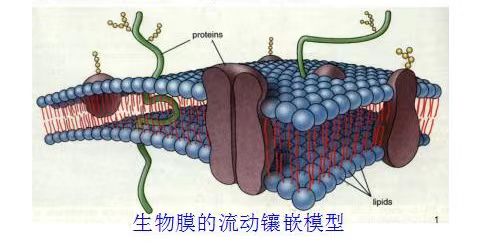 微信圖片_20230521195523.jpg